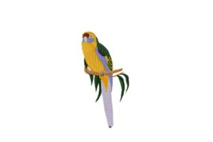 Green Rosella: A Designer’s Holiday Review