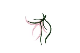 Pink Maiden Flower: A Designer’s Practical Review