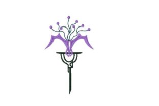 Reviewing Queen Lunaria Orchid for Custom Gifts